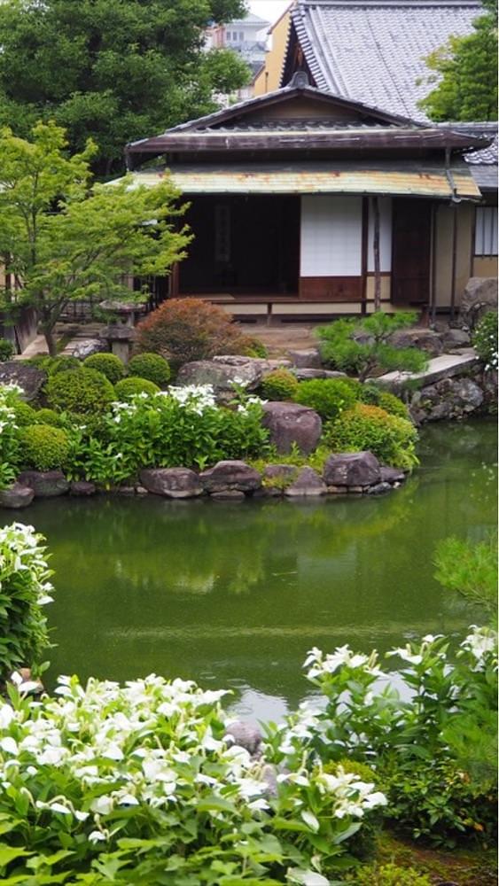 京都を巡る会・「武」さんが投稿した両足院に関する口コミの画像