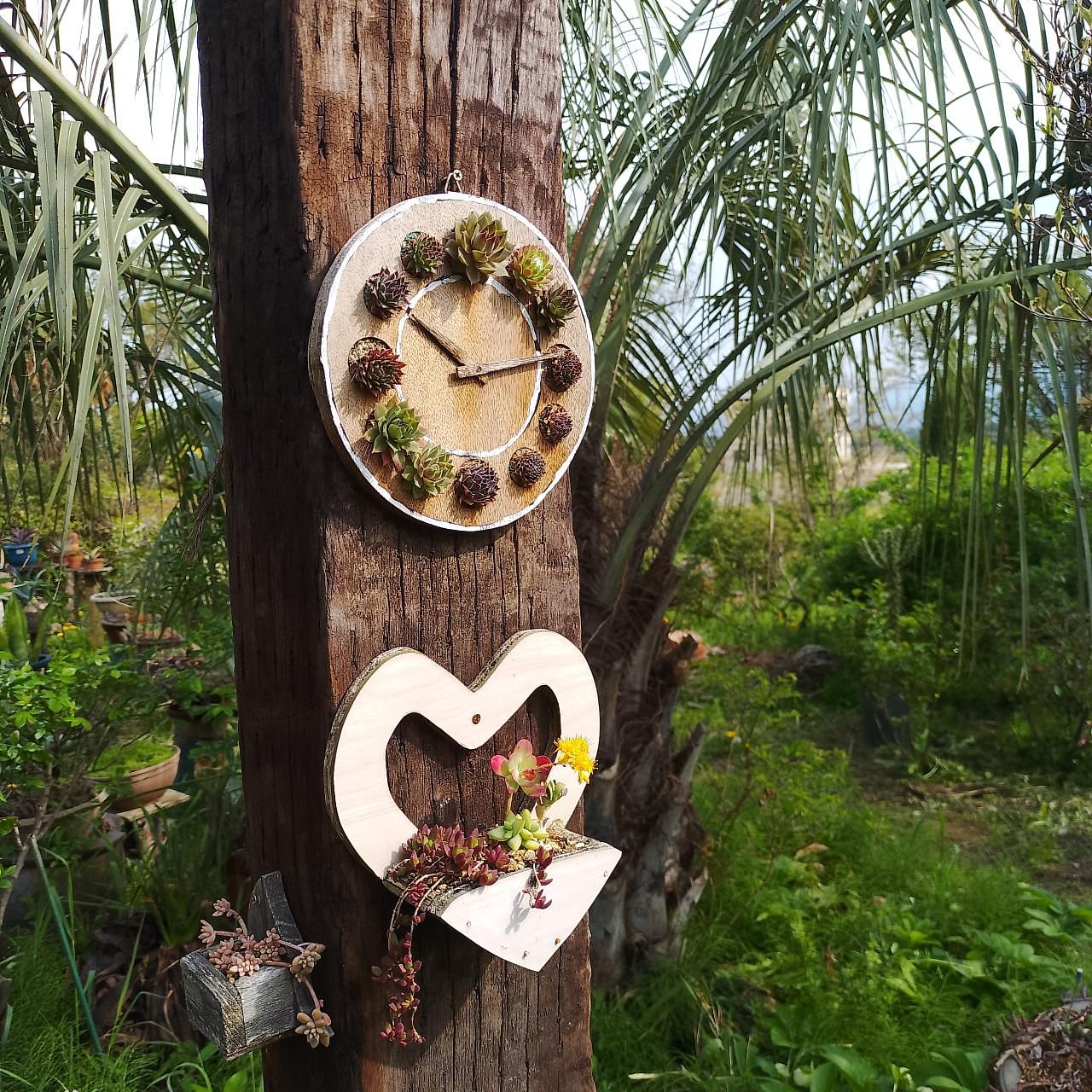 のんびりんこさんが投稿した松井田多肉植物園に関する口コミの画像