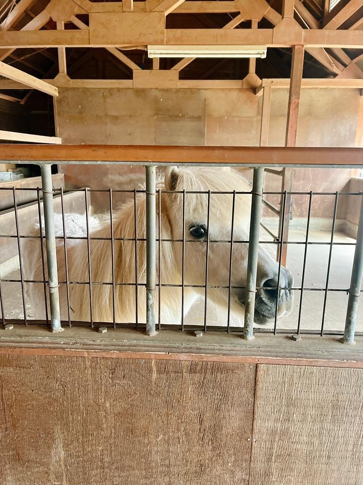 猫なぎ。さんが投稿した大胡ぐりーんふらわー牧場に関する口コミの画像