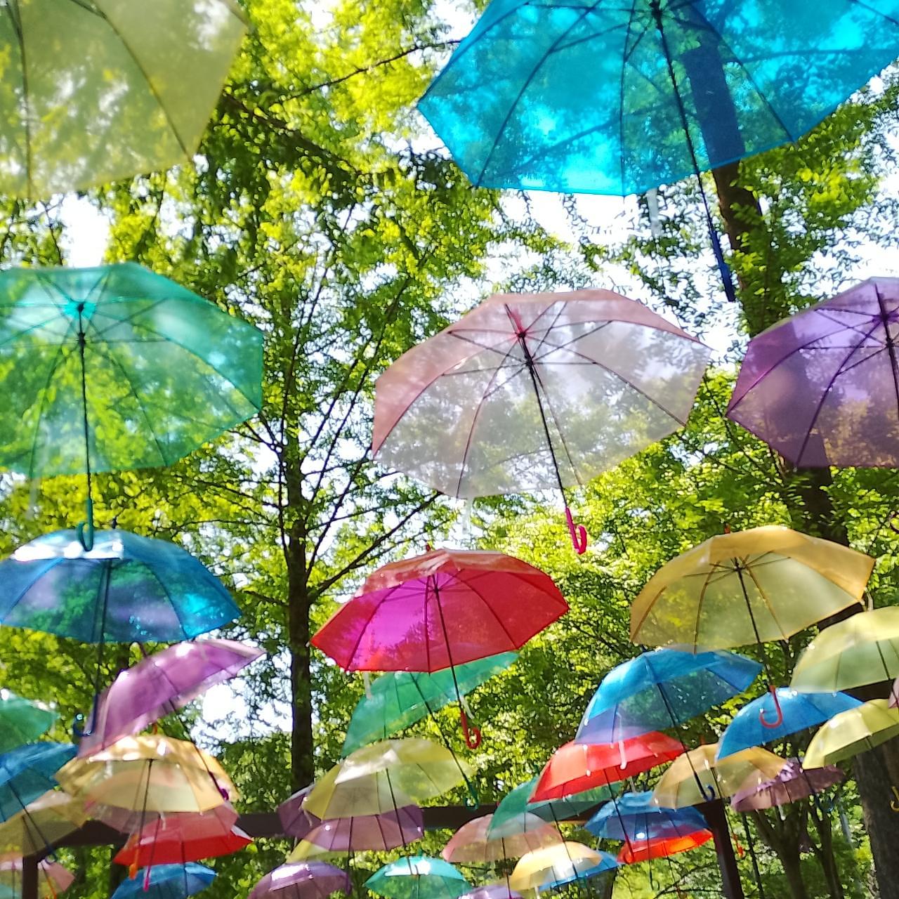 のんびりんこさんが投稿した甘楽総合公園に関する口コミの画像