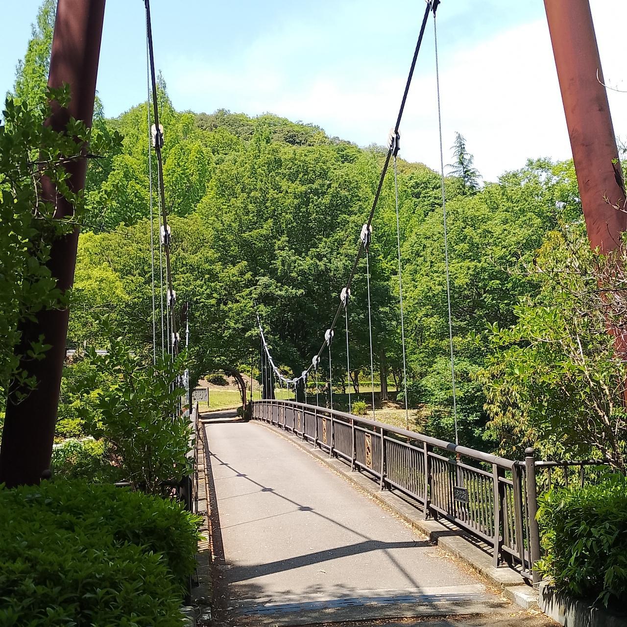 のんびりんこさんが投稿した甘楽総合公園に関する口コミの画像
