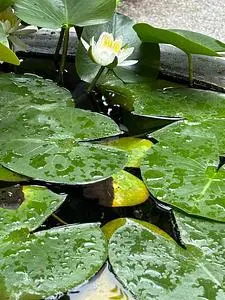 永心寺