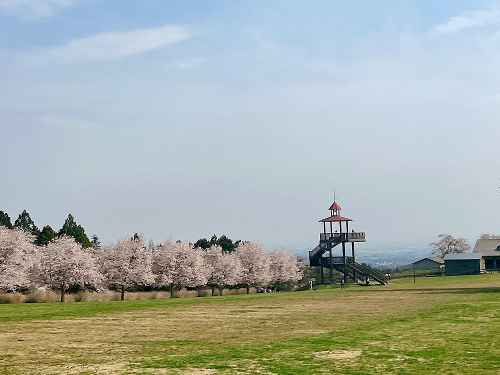 猫なぎ。さんが投稿した道の駅 ぐりーんふらわー牧場・大胡に関する口コミの画像