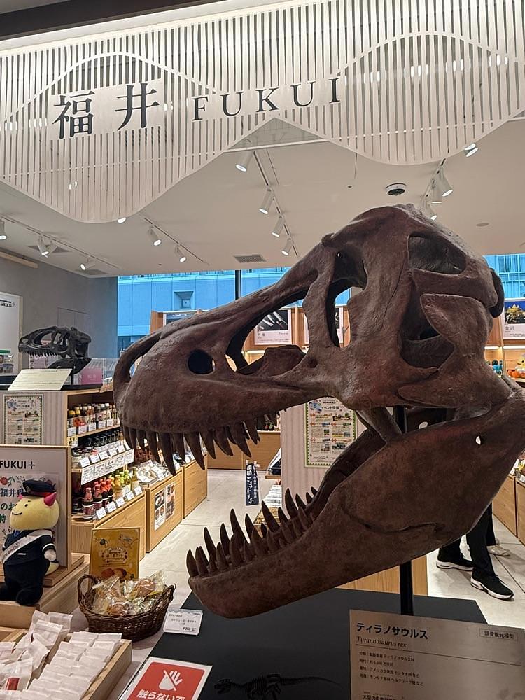 ぺたこ♡さんが投稿した沖縄宝島 KITTE大阪店に関する口コミの画像