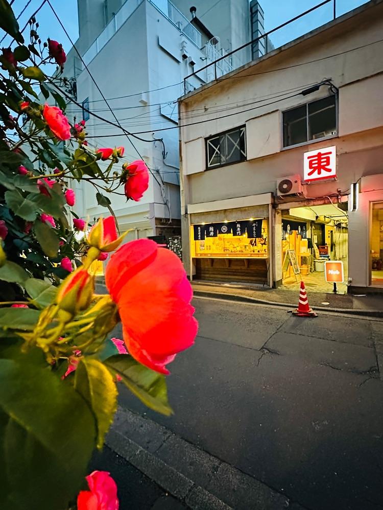 かめ_メグミさんが投稿したまぐろ屋 やまもとに関する口コミの画像