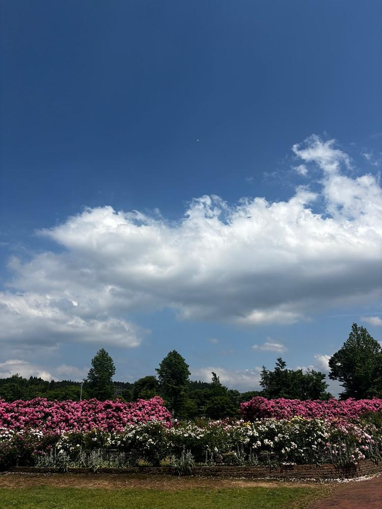 luckyさんが投稿したASO MILK FACTORY（アソ ミルク ファクトリー）に関する口コミの画像