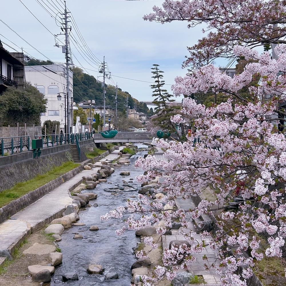Mr. イリジウム シルバーさんが投稿した出雲・玉造温泉 白石家に関する口コミの画像