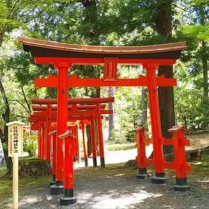 須賀川牡丹園の牡丹 3枚目