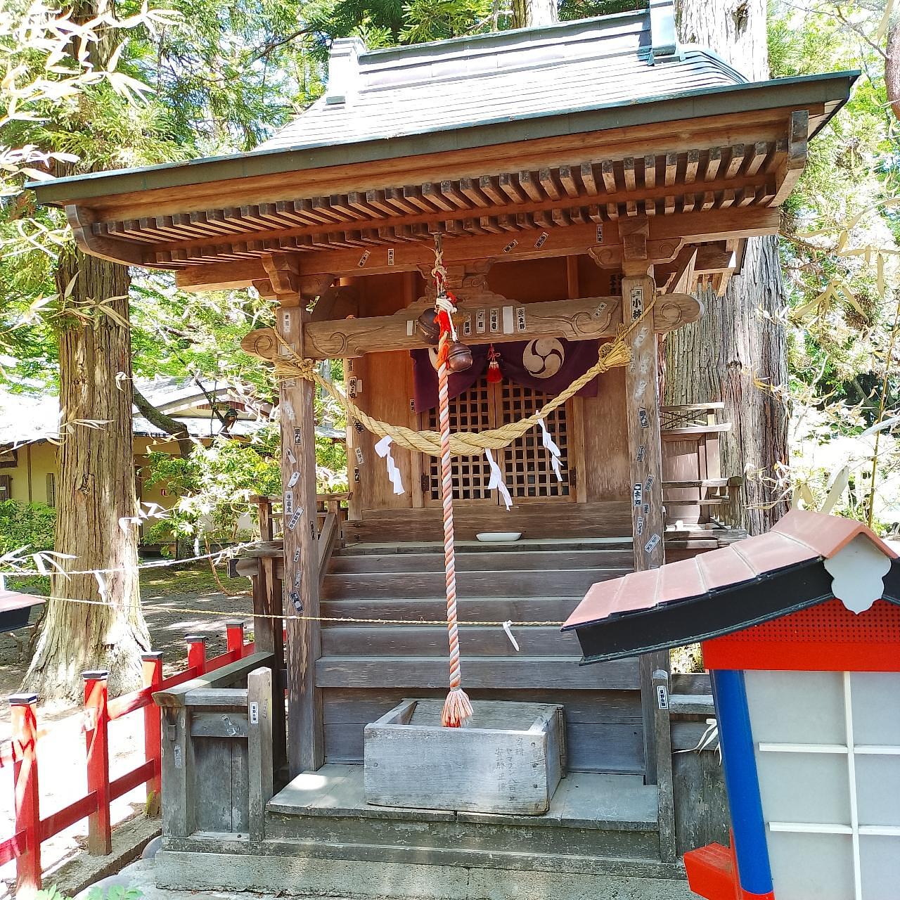 のんびりんこさんが投稿した須賀川牡丹園の牡丹に関する口コミの画像