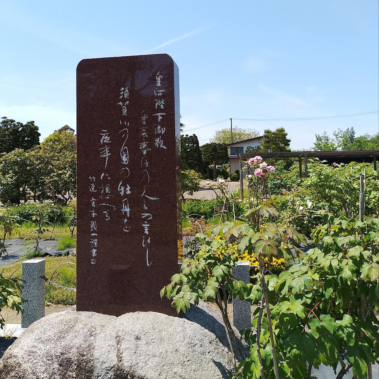のんびりんこさんが投稿した須賀川牡丹園の牡丹に関する口コミの画像