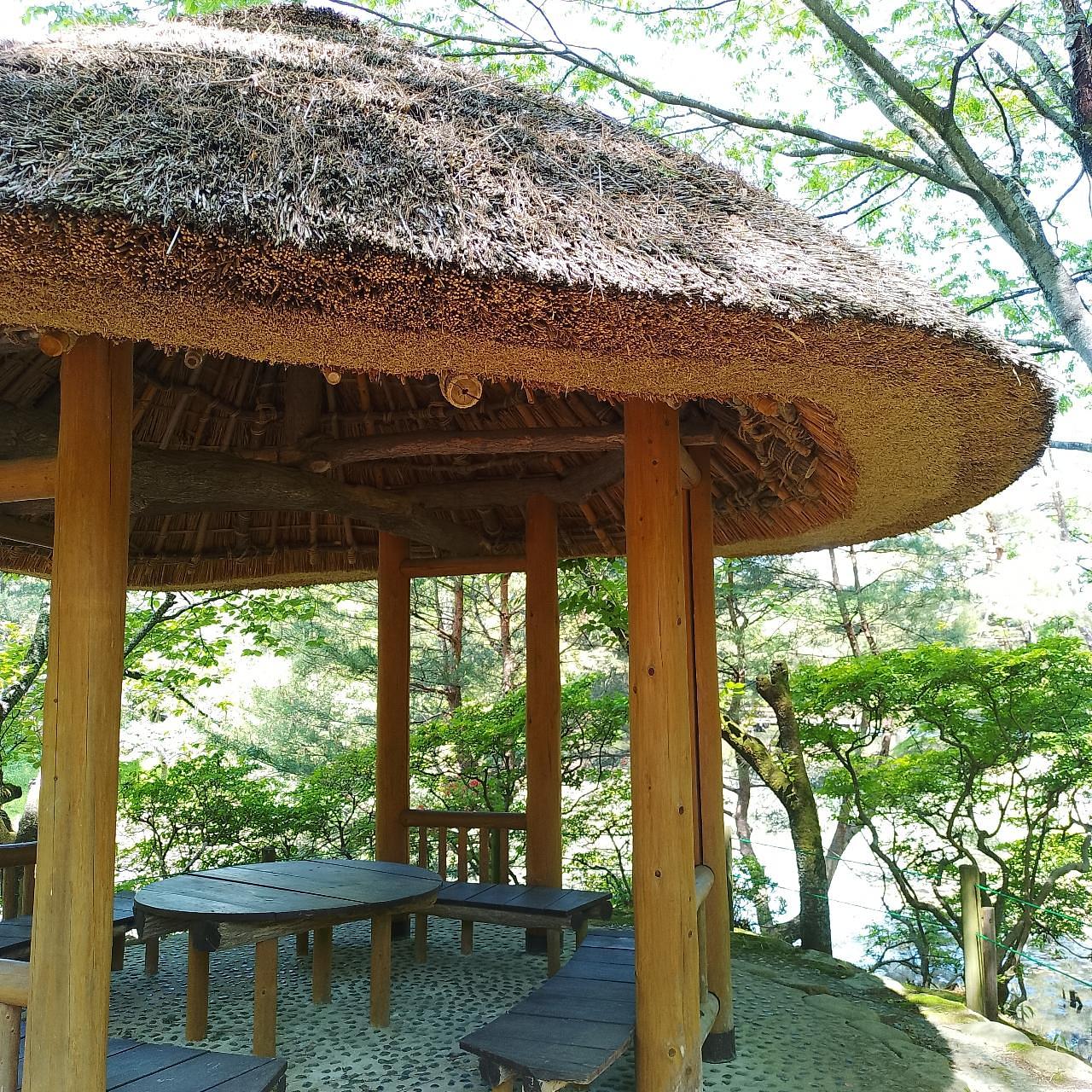 のんびりんこさんが投稿した須賀川牡丹園の牡丹に関する口コミの画像