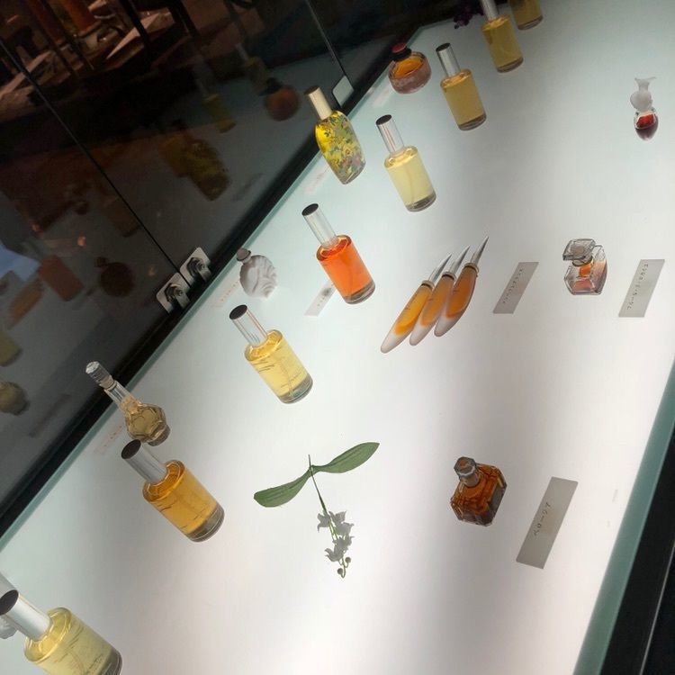 lico_and_smileさんが投稿した大分香りの博物館 カフェ サ・サンボンに関する口コミの画像