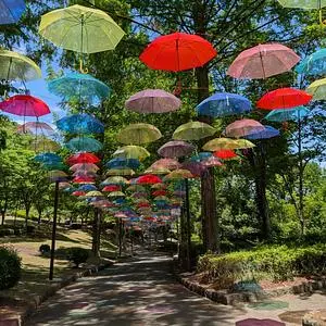 甘楽総合公園