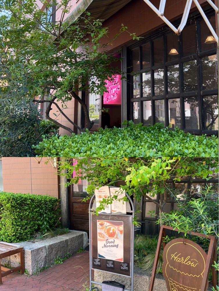 pyonpyono3さんが投稿したHarlow ICE CREAMに関する口コミの画像