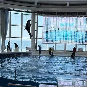 アクアワールド 茨城県大洗水族館 ミュージアムショップガレオス