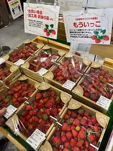 やまもと夢いちごの郷