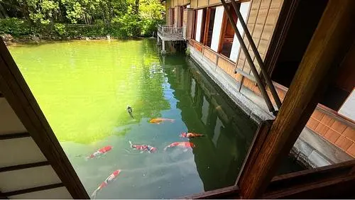 養浩館庭園