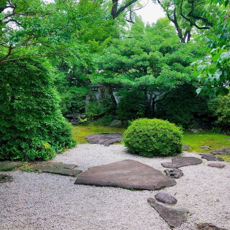 リモネさんが投稿した蘇山荘（ソザンソウ）に関する口コミの画像