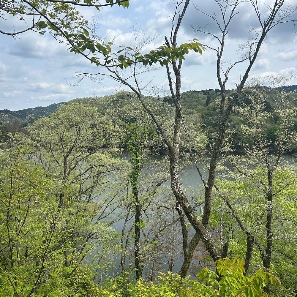 Mr. イリジウム シルバーさんが投稿した三河湖に関する口コミの画像