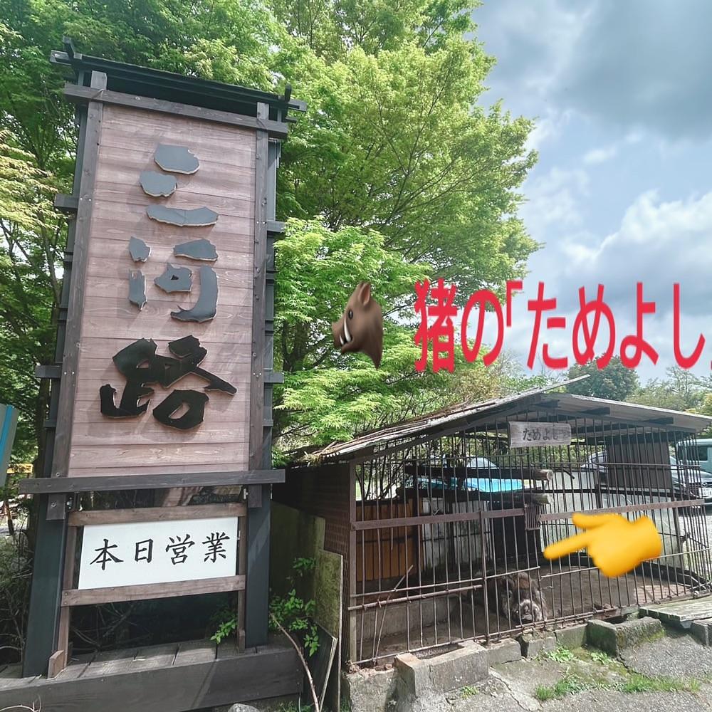 Mr. イリジウム シルバーさんが投稿した三河湖に関する口コミの画像