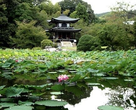 京都を巡る会・「武」さんが投稿したイワサキタンメンに関する口コミの画像