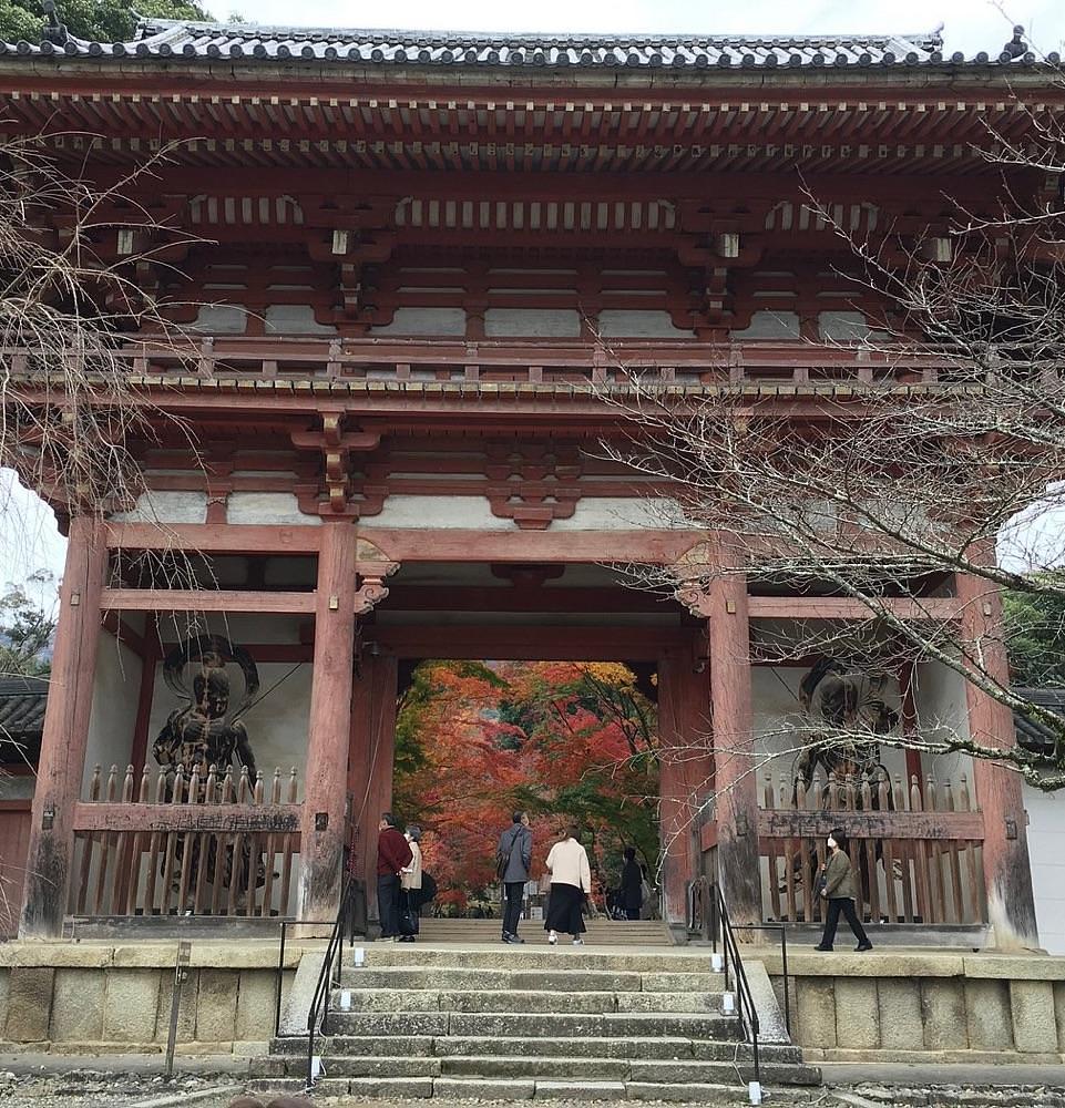 京都を巡る会・「武」さんが投稿したイワサキタンメンに関する口コミの画像