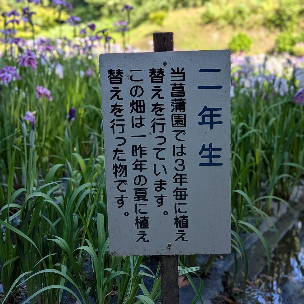 ぬっくさんが投稿した亀山公園しょうぶ園に関する口コミの画像