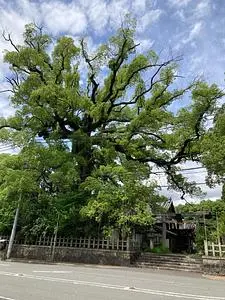 新熊野神社