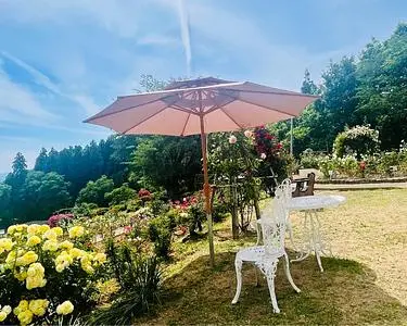 双松公園