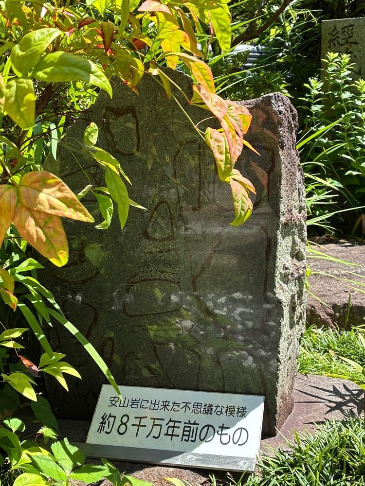 うーとらマンさんが投稿した大瀧山 西法院に関する口コミの画像