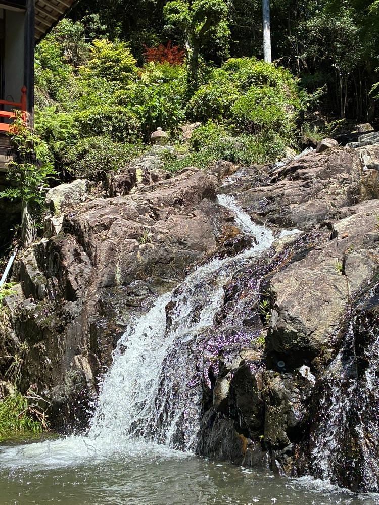 うーとらマンさんが投稿した大瀧山 西法院に関する口コミの画像