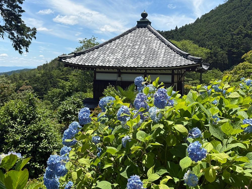 alpha4201さんが投稿した善峯寺山門に関する口コミの画像