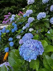 住吉自然公園