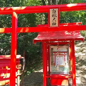 ジャパンスネークセンター