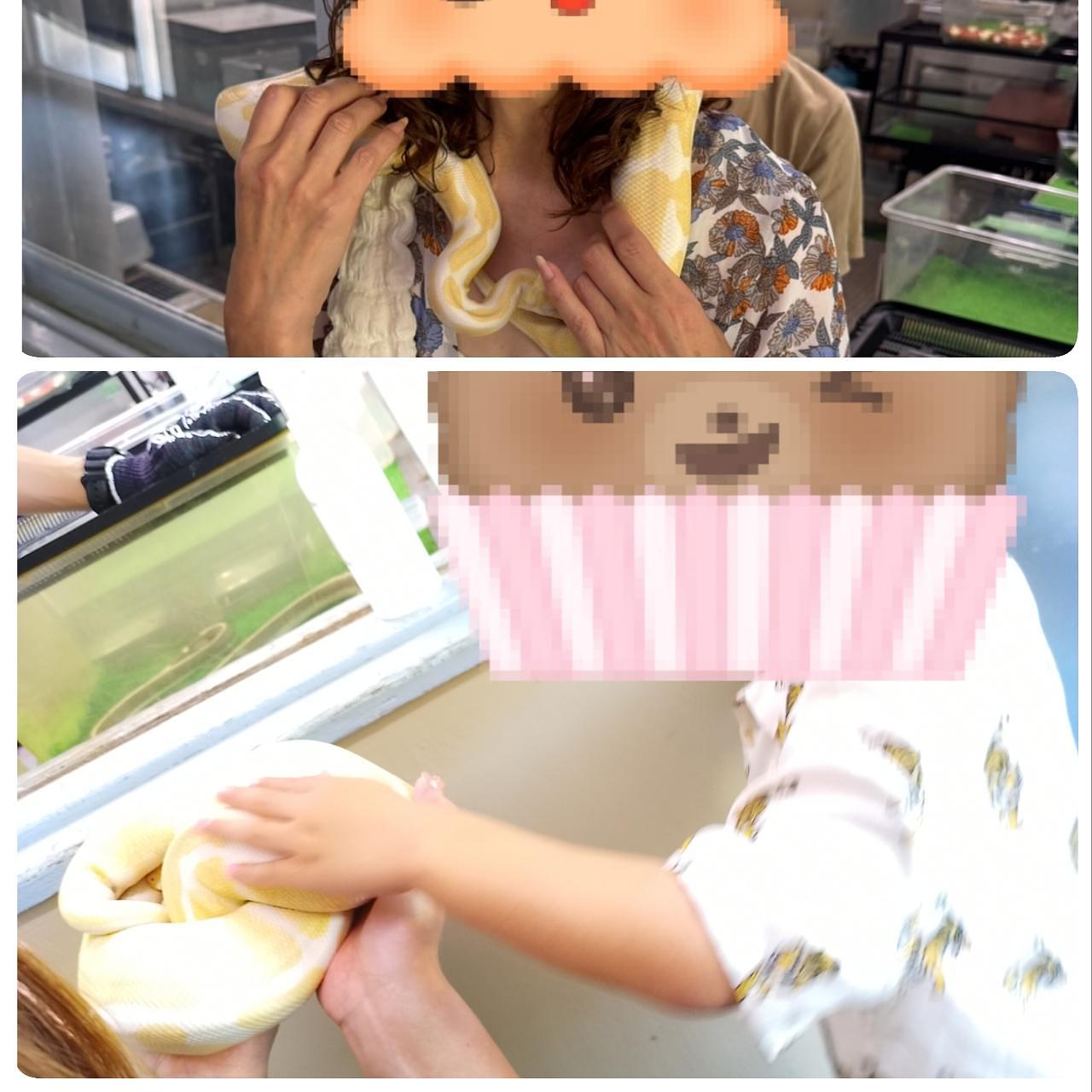 のんびりんこさんが投稿したジャパンスネークセンターに関する口コミの画像