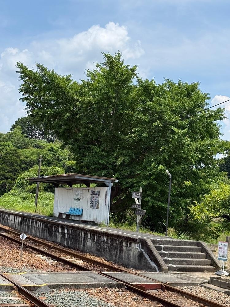hirokororinさんが投稿した百々や（ももや）に関する口コミの画像