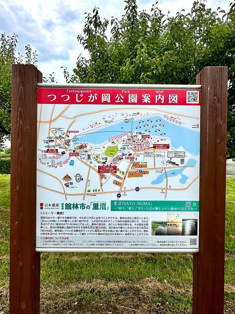 からっ風②さんが投稿したつつじが岡公園 梅林に関する口コミの画像