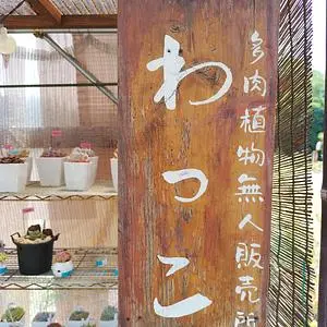 多肉植物無人販売所 わっこ