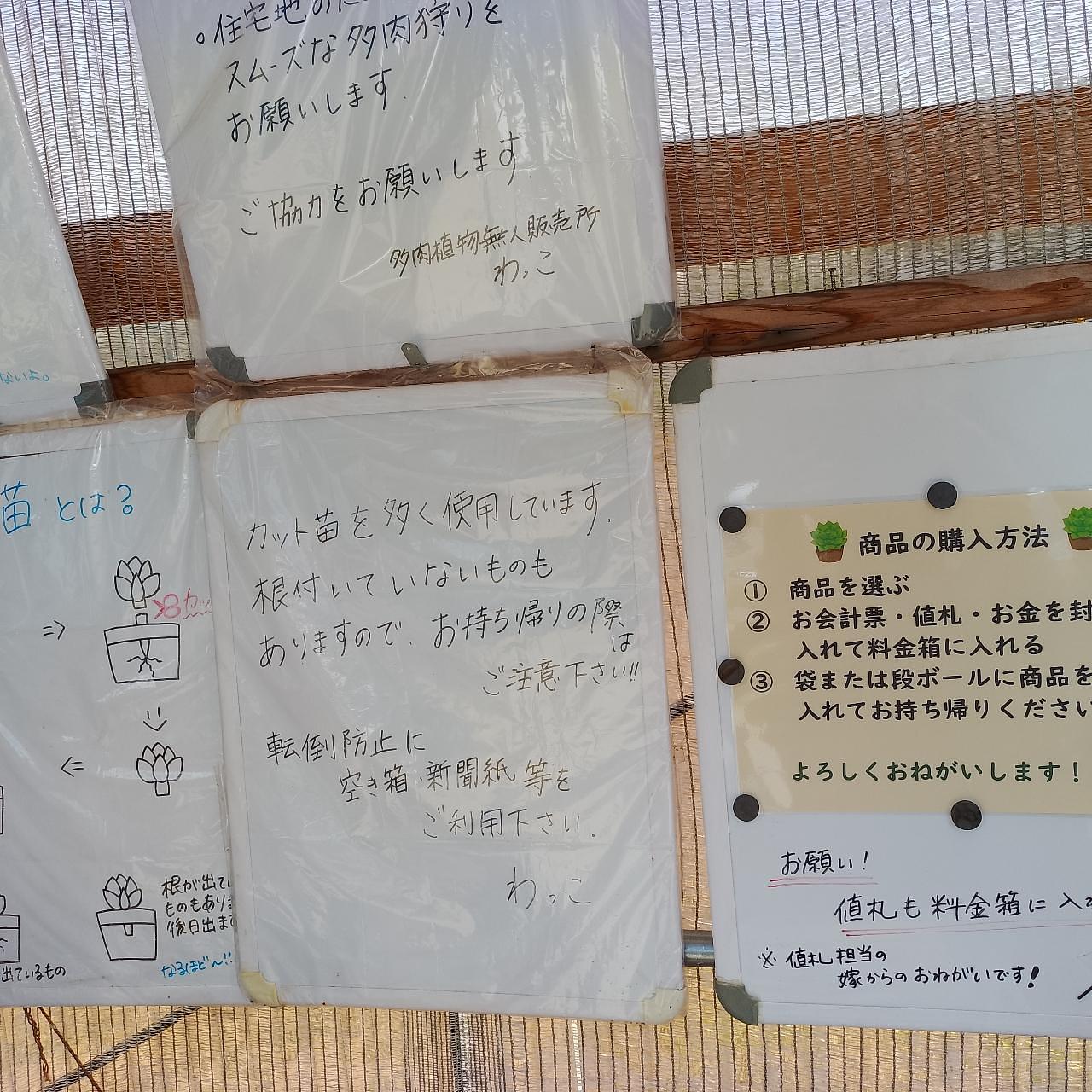 のんびりんこさんが投稿した多肉植物無人販売所 わっこに関する口コミの画像