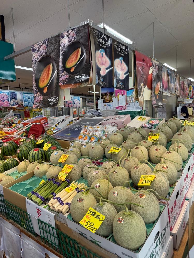 エスコンフィールドHOKKAIDO　ホテル北広島駅前