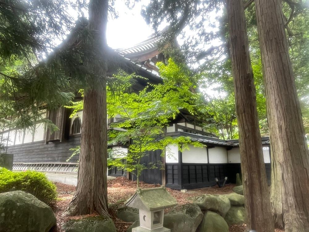 nostalgic_hiking_bca8さんが投稿した長円寺のセンダンバノボダイジュに関する口コミの画像