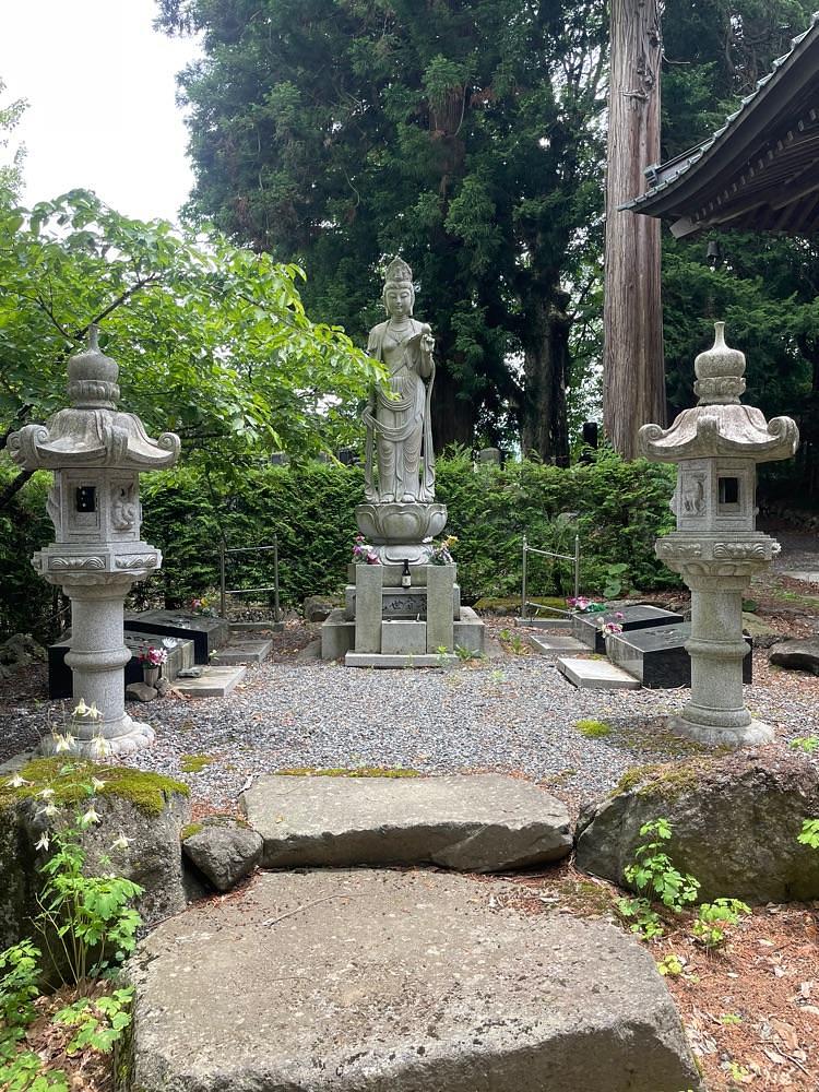 nostalgic_hiking_bca8さんが投稿した長円寺のセンダンバノボダイジュに関する口コミの画像