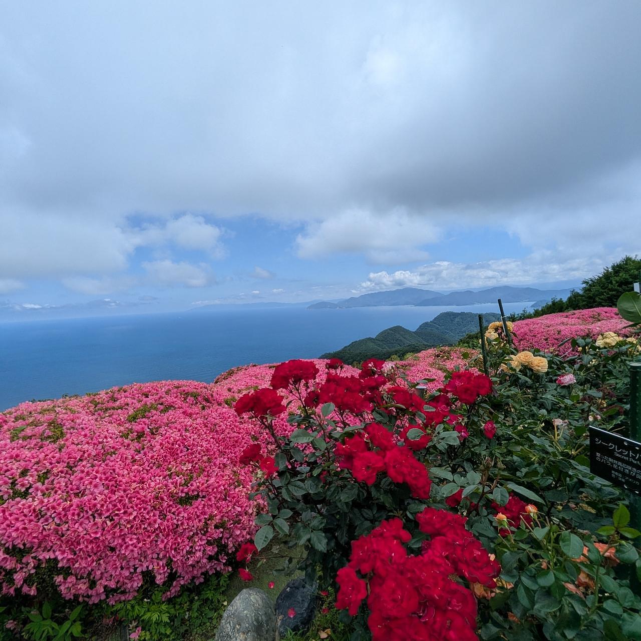 ぬっくさんが投稿したcafe なないろに関する口コミの画像