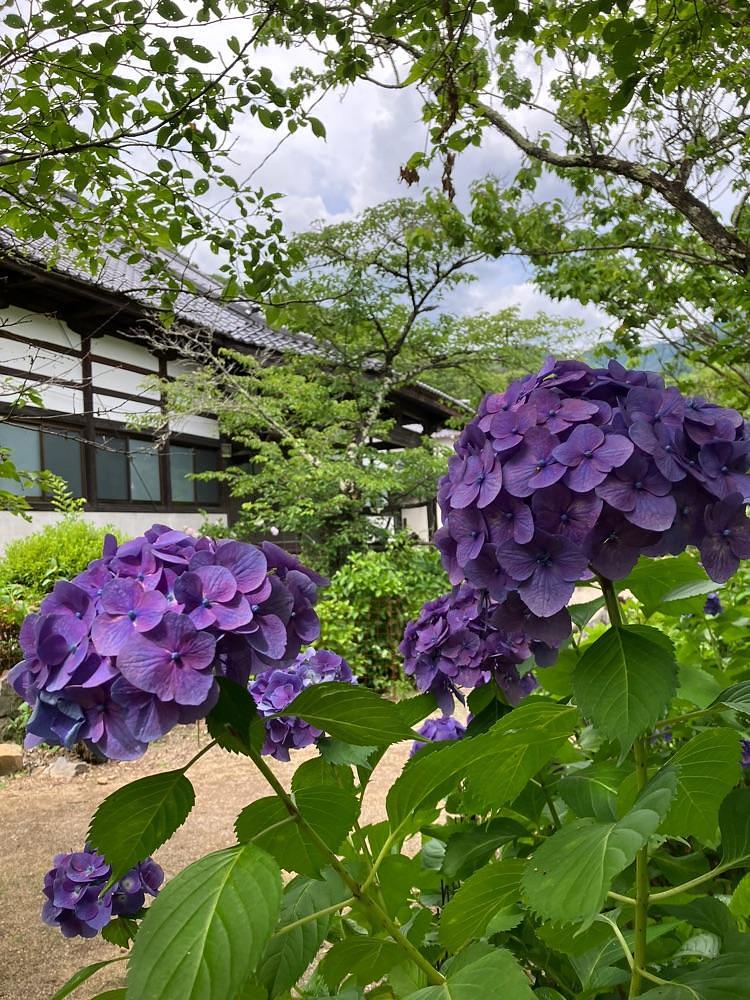 Nさんが投稿した興因寺に関する口コミの画像