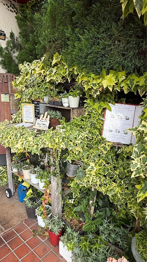 ぺたこ♡さんが投稿した街の洋食屋 AKIRA（マチノヨウショクヤ アキラ）に関する口コミの画像