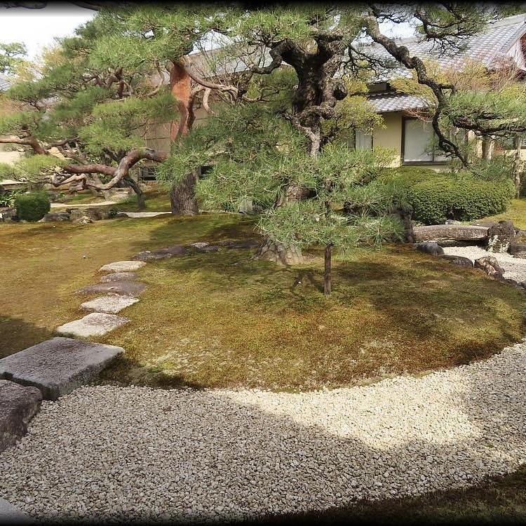 京都を巡る会・「武」さんが投稿した妙顕寺に関する口コミの画像