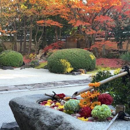 京都を巡る会・「武」さんが投稿した妙顕寺に関する口コミの画像