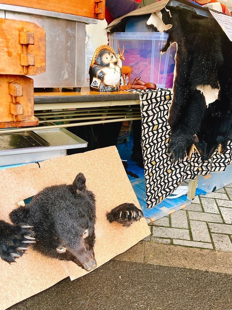 猫なぎ。さんが投稿したレガーロ（REGALO）に関する口コミの画像