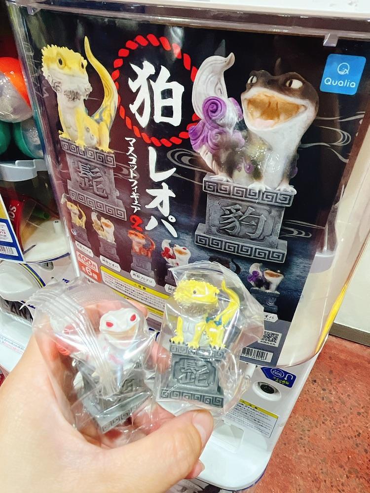 猫なぎ。さんが投稿したレガーロ（REGALO）に関する口コミの画像
