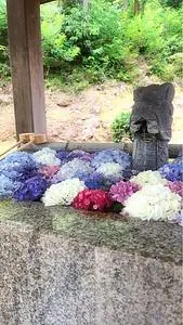 足羽神社
